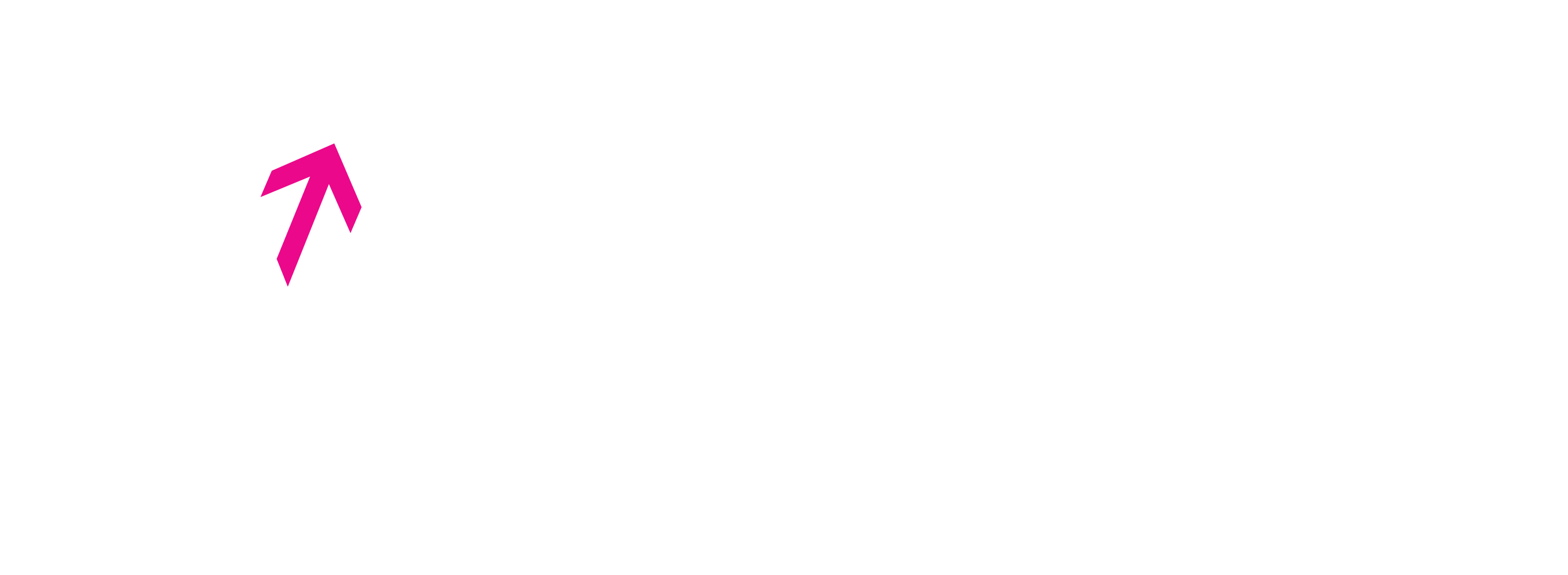 Vector